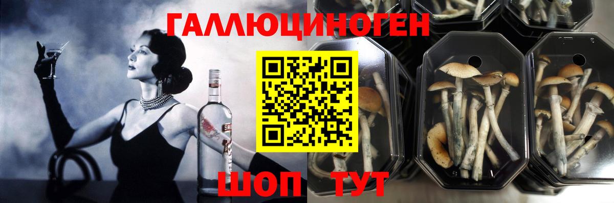 Галлюциногенные грибы GOLDEN TEACHER  Вход с VPN  где купить наркотик  Волжский 