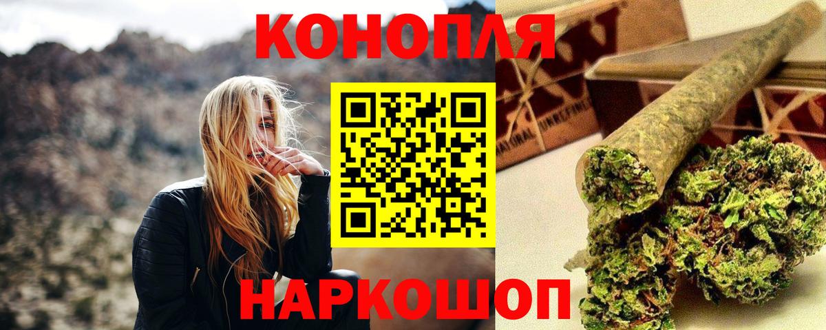 Бошки Шишки сатива Волжский